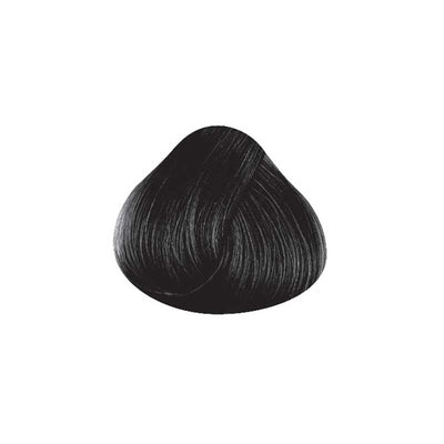 La Riché Directions Ebony (100 ml)