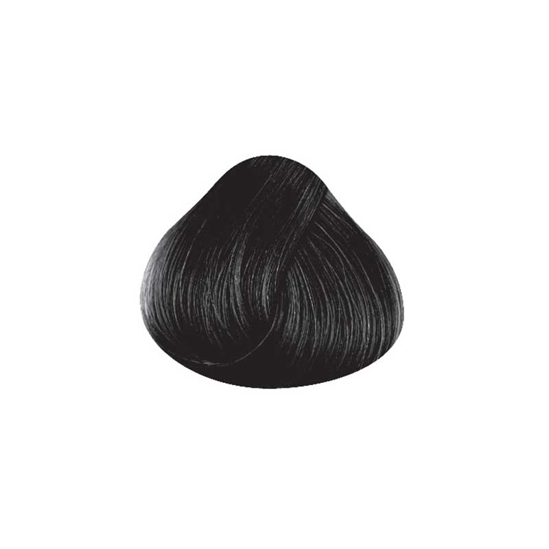La Riché Directions Ebony (100 ml)