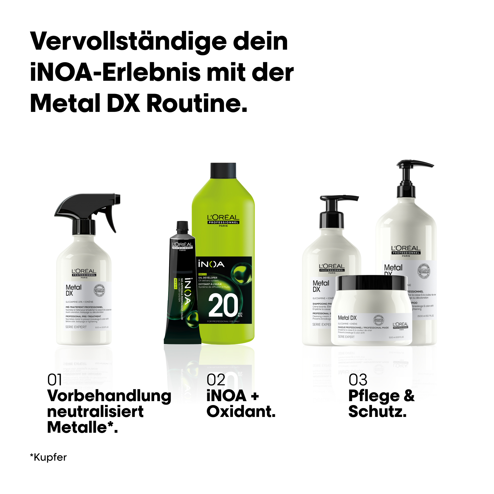 L'Oréal Professionnel INOA 1 Schwarz (60 ml)